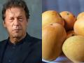Pakistan Mango Diplomacy: पाकिस्तानची जागतिक नाचक्की! अमेरिका, चीननं परत पाठवले भेट दिलेले आंबे - Marathi News | pakistan mango diplomacy fail us china other countries declined to receive ruit as a gift | Latest international News at Lokmat.com