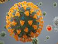 CoronaVirus News: कोरोनाचा नवा व्हेरिएंट लस, रोगप्रतिकारशक्तीलाही देऊ शकतो चकवा? तज्ज्ञांकडून धोक्याचा इशारा - Marathi News | coronavirus delta plus variant may evade vaccines antibodies and infection immunity says experts | Latest national News at Lokmat.com
