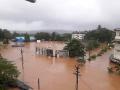 Rain Live Updates: रत्नागिरी, रायगडमध्ये नौदल, लष्कराच्या तुकड्या दाखल; मदतकार्याला सुरुवात - Marathi News | Rain Live Updates: Flood situation in many places, even rivers crossed the danger level | Latest maharashtra News at Lokmat.com