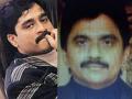 Dawood Ibrahim: दाऊदच्या साथीदाराचा कोरोनानं मृत्यू, छोटा शकीलचा दावा; पाक नव्हे 'या' देशात निधन - Marathi News | Dawood Ibrahim: David's companion killed by Corona, claims Chhota Shakeel; Died in 'this' country, not Pakistan | Latest crime News at Lokmat.com