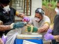 Nipah Virus: धोक्याची घंटा! 'कोरोना'वर लस आली, पण 'निपाह'वर नाही; ६५ टक्के मृत्यूचं प्रमाण, काय आहेत लक्षणं? जाणून घ्या... - Marathi News | Nipah virus returned once again amid Corona crisis know everything about it | Latest national Photos at Lokmat.com