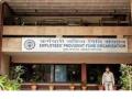 'पेन्शन'चं आता 'नो टेन्शन'!, EPFO ने सुरू केली नवी योजना; जाणून घ्या... - Marathi News | epfo latest update ppo pension payment order private sector pensioners new facility | Latest national News at Lokmat.com