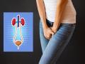 Urine Problem Remedies: खोकताना, शिंकताना लघवीचे नियंत्रण सुटत असेल तर 'या' तीन गोष्टी आहारात सुरू करा! - Marathi News | Urine Problem Remedies: If you lose control of urine while coughing, sneezing, start 'these' three things in your diet! | Latest health News at Lokmat.com
