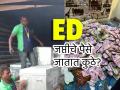 ED कडून ४ वर्षात ६७,००० कोटींची जप्ती, इतकी रक्कम आणि पॉपर्टीचं ED काय करते? समोर आली मोठी माहिती! - Marathi News | arpita mukherjee cash amount What happens when ed seized gold and property 67000 crore seized by ED in 4 years | Latest national Photos at Lokmat.com