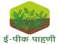 वाशिम जिल्ह्यातील १.३० लाख शेतकरी स्वत: नोंदविणार सातबारावर माहिती - Marathi News | 1 30 lakh farmers of Washim district will self-register information on Satbara | Latest vashim News at Lokmat.com
