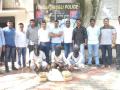 सांगलीत पावणे दोन लाखाचा बारा किलो गांजा जप्त, एलसीबी, शहर पोलिसांची कारवाई - Marathi News | 12 kg of ganja worth 2 lakh seized in Sangli, LCB, city police action | Latest sangli News at Lokmat.com