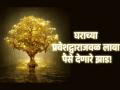 Vastu Tips: घरच्या मुख्य दरवाजाजवळ 'ही' तीन रोपे लावल्याने कुबेर देव होतात प्रसन्न! - Marathi News | Vastu Tips: Planting these three plants near the main door of the house pleases Lord Kuber! | Latest bhakti Photos at Lokmat.com