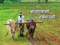 Shravan 2023: श्रावण मास शेतकरी दादासाठी का असतो खास? वाचा या महिन्याचे धार्मिक आणि आर्थिक महत्त्व! - Marathi News | Shravan 2023: Why is the month of Shravan special for Farmer? Read the religious and financial significance of this month! | Latest bhakti News at Lokmat.com