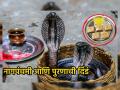 Nag Panchami 2023: नागपंचमीला केवळ उकडलेले पदार्थ का खातात? जाणून घ्या शास्त्र! - Marathi News | Nag Panchami 2023: Why eat only boiled food on Nag Panchami? Learn the science! | Latest bhakti News at Lokmat.com