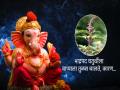 Ganesh Chaturthi 2023: हरिप्रिया तुळस फक्त भाद्रपद चतुर्थीच्या दिवशी बाप्पाला वाहिली तर चालते, कारण...  - Marathi News | Ganesh Chaturthi 2023: Haripriya Tulasi only once offered to Bappa on Bhadrapada Chaturthi, because... | Latest bhakti News at Lokmat.com