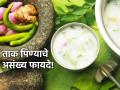 Health Tips: 'ऊन जरा जास्त आहे, दरवर्षीच वाढतं'; भर उन्हात ताक पिऊन गार गार वाटतं! - Marathi News | Health Tips: 'The heat is a bit high, it increases every year'; Drinking buttermilk feels cool in the rising summer! | Latest health News at Lokmat.com