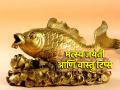 Matsya Jayanti Vastu Tips: आज मत्स्यजयंतीनिमित्त घरी आणा मत्स्यमूर्ती आणि मिळवा अनेक लाभ! - Marathi News | Matsya Jayanti Vastu Tips: Bring a fish Idol home today on the occasion of Matsya Jayanti and reap many benefits! | Latest bhakti Photos at Lokmat.com