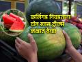 Health Tips: कलिंगड विकत घेताना दोन गोष्टी नक्की तपासून घ्या; नैसर्गिक आहे की कृत्रिम लगेच कळेल! - Marathi News | Health Tips: Check two things while buying watermelon; You will know immediately whether it is natural or artificial! | Latest health News at Lokmat.com
