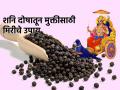 Astro Tips: शनि दोष आणि आर्थिक समस्यांमधून मुक्ति मिळवण्यासाठी मिरीचा करा 'असा' उपयोग! - Marathi News | Astro Tips: Use pepper like this to get rid of Shani dosh and financial problems! | Latest bhakti News at Lokmat.com