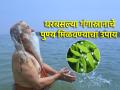 Ganga Dussehra 2024: गंगा दशहरा उत्सवात गंगास्नानाचे पुण्य मिळवण्यासाठी अंघोळीच्या पाण्यात टाका 'हा' पदार्थ! - Marathi News | Ganga Dussehra 2024: Put 'this' substance in bath water to reap the benefits of Ganga bath during Ganga Dussehra festival! | Latest bhakti News at Lokmat.com