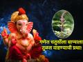 Ganesh Chaturthi 2024: भाद्रपद चतुर्थीच्या दिवशी बाप्पाला दूर्वा नाही तर चक्क तुळस वाहतात; कारण... - Marathi News | Ganesh Chaturthi 2024: On Bhadrapada Chaturthi, Bappa is not pleased with durva, but basil; Because... | Latest bhakti News at Lokmat.com