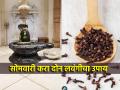 Astro Tips: फक्त २ लवंगा करतील तुमच्या अडचणी दूर; सोमवारी न चुकता करा 'हा' उपाय! - Marathi News | Astro Tips: Just 2 cloves will solve your problems; Do this solution without fail on Monday! | Latest bhakti Photos at Lokmat.com