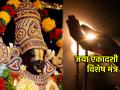Jaya Ekadashi 2025: शनिवारी जया एकादशी; उपास केला नाही तरी 'हा' एक मंत्र म्हणत उपासना नक्की करा! - Marathi News | Jaya Ekadashi 2025: Jaya Ekadashi on Saturday; Even if you haven't fasted, definitely worship by chanting 'this' mantra! | Latest bhakti News at Lokmat.com