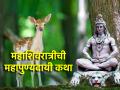 Maha Shivratri 2025: म्युत्यूपश्चात शिवलोकी नेणारी महाशिवरात्रीची कथा आज दिवसभरात वाचाच! - Marathi News | Maha Shivratri 2025: The story of Mahashivratri read today, to get moksha after death | Latest bhakti News at Lokmat.com