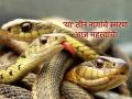 Nag Panchami 2025: पौराणिक कथांमधील 'या' तीन नागांचे स्मरण केल्याने मिळते सर्पदोषातून मुक्ती! - Marathi News | Nag Panchami 2025: Remembering these three serpents from mythology gives freedom from snake sin! | Latest bhakti News at Lokmat.com