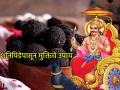 Shravan Shanivar 2025: श्रावण शनिवारी केलेले 'हे' सोपे उपाय देतात शनी पीडेपासून मुक्ती! - Marathi News | Shravan Shanivar 2025: These simple remedies done on Shravan Saturday provide relief from the suffering of Shani! | Latest bhakti News at Lokmat.com
