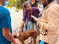 मुक्या प्राण्यासोबत  'फ्रेंडशिप डे' साजरा - Marathi News | Celebrate 'Friendship Day' with mute animals | Latest thane News at Lokmat.com