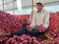 कांदा अनुदानासाठी दीड लाख शेतकरी पात्र - Marathi News | One and a half lakh farmers eligible for onion subsidy | Latest agriculture News at Lokmat.com