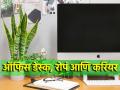 Vastu Tips: ऑफिस डेस्कवर चुकूनही ठेवू नका 'ही' रोपं; तुमच्या प्रगतीत येऊ शकतो अडथळा! - Marathi News | Vastu Tips: Don't accidentally place 'these' plants on the office desk; Your progress may be hindered! | Latest bhakti Photos at Lokmat.com