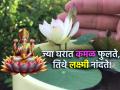 Vastu Tips: लक्ष्मीविष्णुंना प्रिय असलेले कमळ घरात लावल्याने होणारे आर्थिक लाभ जाणून चकित व्हाल! - Marathi News | Vastu Tips: You will be surprised to know the financial benefits of planting a lotus in the house which is loved by Lakshmi Vishnu! | Latest bhakti Photos at Lokmat.com