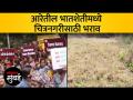 आरेतील आदिवासी कुटुंबाच्या शेतजमिनीवर भराव; आदिवासींचे आंदोलन - Marathi News | Infill on the agricultural land of a tribal family in Aarey Tribal movement | Latest mumbai Videos at Lokmat.com
