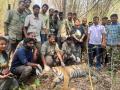 नवेगाव-नागझिऱ्यात भरकटलेली ‘ती’ वाघीण अखेर सापडली - Marathi News | the tigress that got lost in navegaon nagzira was finally found | Latest nagpur News at Lokmat.com