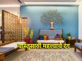 Holi Vastu tips:होळी आणि रंगपंचमीनिमित्त जाणून घेऊया वास्तूच्या दृष्टीने महत्त्वाचे रंग आणि रंगाचे महत्त्व! - Marathi News | Holi Vastu tips: On the occasion of Holi and Rangpanchami, let's know the important colors and the importance of colors in terms of Vastu! | Latest bhakti Photos at Lokmat.com