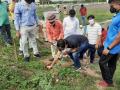 निंब बीज व सीड बॉल रोपण अभियानास प्रारंभ - Marathi News | Launch of Neem Seed and Seed Ball Planting Campaign | Latest akola News at Lokmat.com