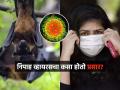 Nipah Virus : निपाह व्हायरसचा मोठा धोका! सर्वसामान्यांनी कोणत्या गोष्टीची घ्यावी काळजी, लक्षणं किती गंभीर? - Marathi News | nipah virus outbreak in india | Latest sakhi News at Lokmat.com