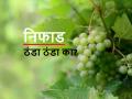 किकुलॉजी: निफाडमध्येच नीचांकी तापमानाची नोंद का होते? त्यावर काय उपाय करायचे? जाणून घेऊ - Marathi News | Kikulogy: Why Niphad recorded the lowest temperature? prof Kirankumar johare revels the fact | Latest agriculture News at Lokmat.com