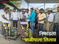 निफाड उपबाजार समितीत आजपासून भाजीपाला लिलाव सुरू - Marathi News | Latest News Vegetable auction starts from today in Niphad sub market committee | Latest agriculture News at Lokmat.com