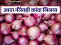 Kanda Lilav : नीरा कृषी उत्पन्न बाजार समितीत आठवड्यात या दिवशी कांदा लिलाव सुरू होणार - Marathi News | Kanda Lilav : Onion auction will start on this day of the week in Neera Agricultural Produce Market Committee | Latest agriculture News at Lokmat.com