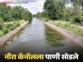 नीरा खोऱ्यातील चारही धरणांत मुबलक पाणीसाठा; नीरा उजव्या कालव्यातून शेतीसाठी पाणी सुरु - Marathi News | Abundant water storage in all four dams in the Nira valley this year; Water for agriculture has started from the Nira right canal | Latest agriculture News at Lokmat.com