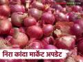 Kanda Bajar Bhav : नीरा बाजारात समितीत नंबर एक व गोल्टी कांद्याला कसा मिळतोय दर? - Marathi News | Kanda Bajar Bhav : How is the price of Nira market committee number one and Golti onion getting? | Latest agriculture News at Lokmat.com