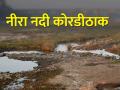 वीर धरणातून थेंबभरही विसर्ग नाही, बंधारे अजूनही कोरडेच - Marathi News | Not even a drop has been released from Veer Dam, the check dams are still dry | Latest agriculture News at Lokmat.com