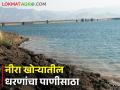 नीरा खोऱ्यातील धरणांत किती टक्के पाणीसाठा; विहिरींची पाणी पातळी खालावली - Marathi News | What is the percentage of water storage in the dams in Neera valley; The water level of wells decreased | Latest agriculture News at Lokmat.com