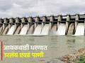 औष्णिक विद्यूतला सोडल्यानंतर आता जायकवाडी धरणात उरलंय एवढं पाणी... - Marathi News | | Latest agriculture News at Lokmat.com
