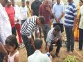 खारघरच्या पांडवकडा टेकडीवर वृक्षारोपण - Marathi News | Plantation on the Pandavka hill in Kharghar | Latest navi-mumbai News at Lokmat.com