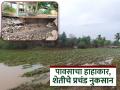३ तासात होत्याचं नव्हतं झालं; भिगवणला ढगफुटी सदृश पाऊस , शेतीचे नुकसान, पशुही दगावले - Marathi News | Everything changed in 3 hours; Cloudburst-like rain in Bhigwan, damage to crops, animals also killed | Latest pune News at Lokmat.com