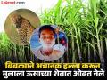 ऊसाच्या शेतात दबा धरून बसलेल्या बिबट्याचा हल्ला; ८ वर्षीय मुलाचा मृत्यू, जुन्नर तालुक्यातील चौथी घटना - Marathi News | Attack by a leopard lurking in a sugarcane field; 8-year-old boy dies, fourth incident in Junnar taluka | Latest pune News at Lokmat.com