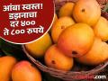 अक्षय्य तृतीयाच्या मुहूर्तांवर हापूस आंबा झाला स्वस्त; आवकही वाढली, '५ डझनाची पेटी २५००' - Marathi News | Hapus mangoes became cheaper on the auspicious occasion of Akshaya Tritiya; arrivals also increased, '5 dozen boxes cost 2500' | Latest pune News at Lokmat.com