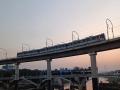 Pune Metro: ‘वन पुणे कार्ड’मुळे एकाच तिकिटावर दोन्ही मेट्रोचा प्रवास; पुणेकरांचा वेळही वाचणार - Marathi News | 'One Pune Card' allows travel on both metros on a single ticket; Pune residents will also save time | Latest pune News at Lokmat.com