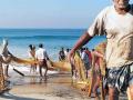 रायगड जिल्ह्यातील मच्छीमार आक्रमक - Marathi News | Fishermen are aggressive in Raigad district | Latest raigad News at Lokmat.com