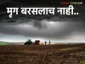 राज्याच्या या जिल्ह्यात मृग बरसलाच नाही; खरीप हंगामातील पेरणी २० टक्केच - Marathi News | In this district of the state deer do not rain; Sowing in Kharif season is only 20 percent | Latest agriculture News at Lokmat.com
