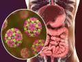 हिवाळ्यात वेगाने पसरतो हा Norovirus, जाणून घ्या याची लक्षणे आणि कारणे! - Marathi News | Norovirus the highly contagious virus that spreads in winters | Latest health News at Lokmat.com